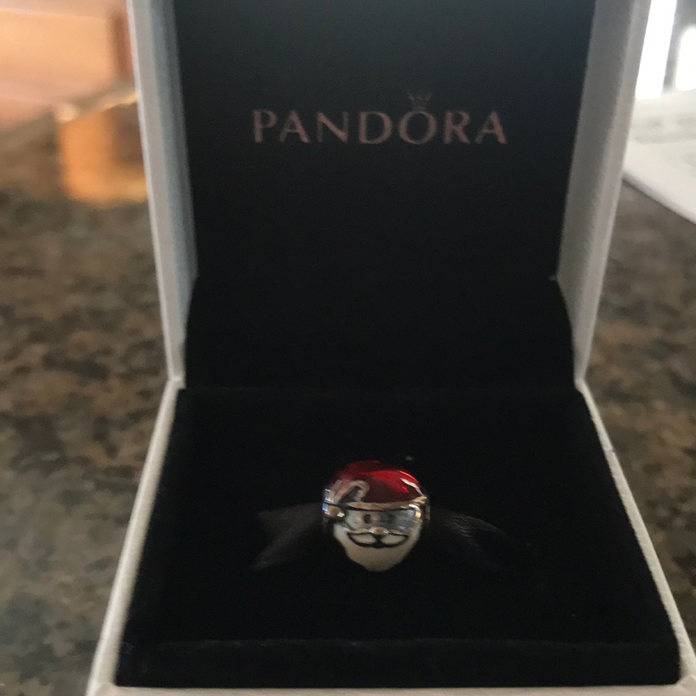 Pandora bracelet charm